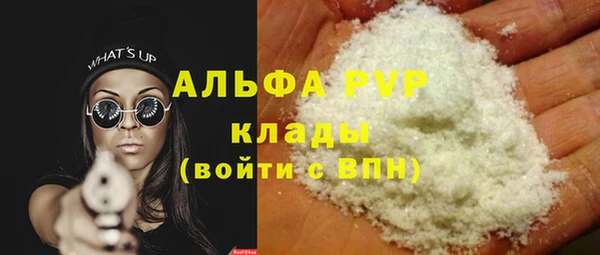 СК Алексин