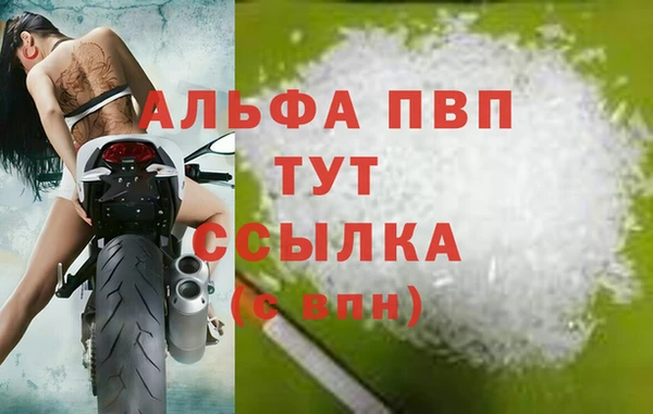 СК Алексин