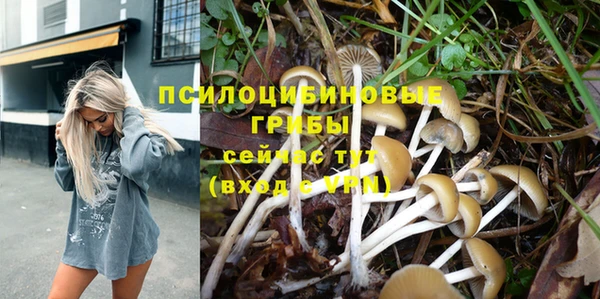 экстази Алзамай