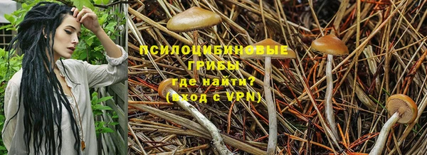 СК Алексин